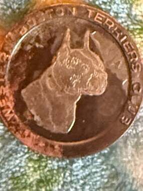 Vintage Bronze Boston Terrier Club Dog Head Souvenir Coin Token